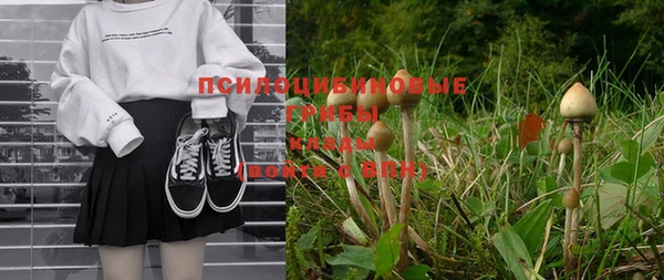 марихуана Ельня