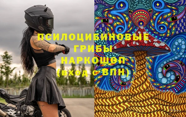 mdpv Елизово