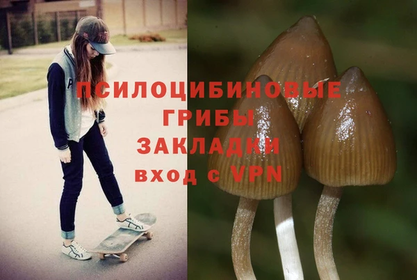 марихуана Ельня