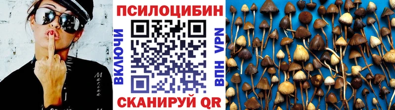 Псилоцибиновые грибы Psilocybe  даркнет сайт  Сибай 