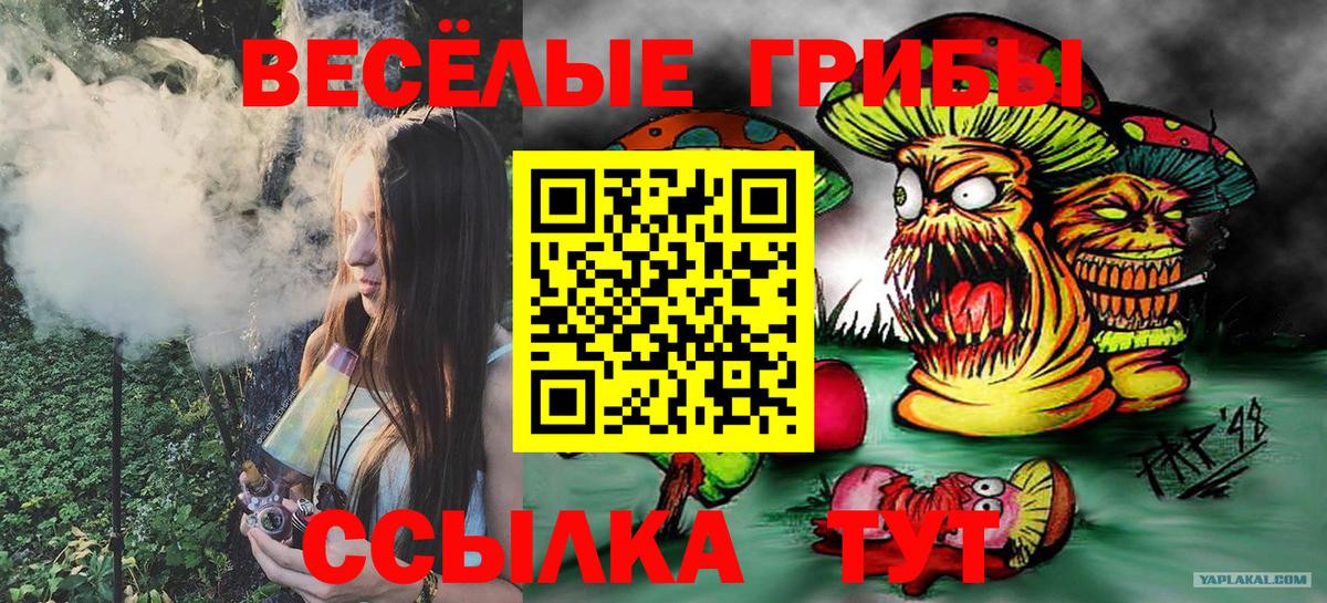 Псилоцибиновые грибы GOLDEN TEACHER Сибай